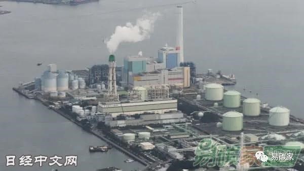 1603424426859692.jpg 1.jpg