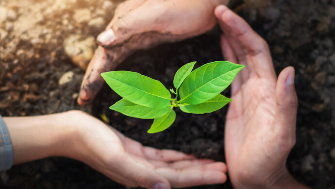 1675904009229997.png image.png