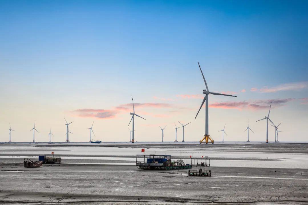 1677810116318536.jpg 2023.3.3.1.5.jpg