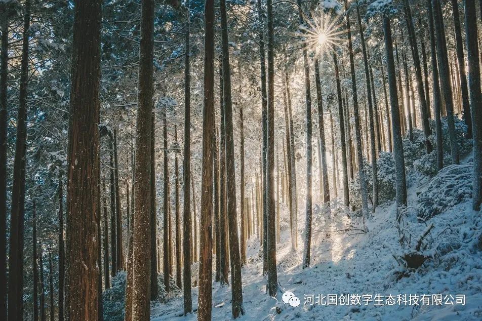 1688349277371291.jpg c137a400d8679444acbb9d6c1d0c109e.jpg