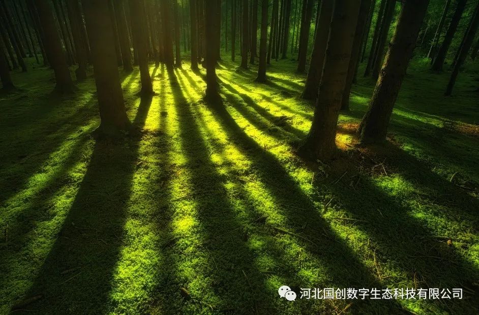 1688349306387389.jpg 469438beb0cd89dba151d2975073afac.jpg