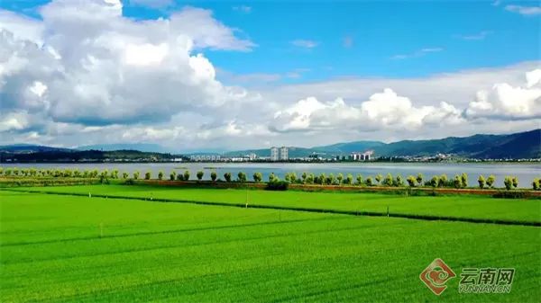 1688368919282520.jpg afde82c933a93ce3b03e29dd21c3d940.jpg